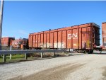 CN 891624 is new to RRPA!